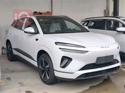 بي واي دي سيليون 06 DM-i